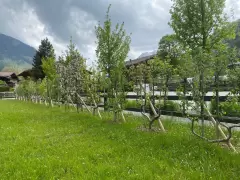 202252 Chalet Gstaad Bild 4